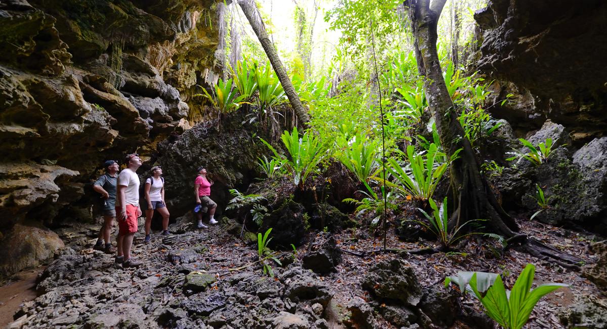 Hikers in the makatea forest near Anatakitaki on Enuamanu (Atiu)